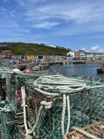 IMG_1832.jpeg
