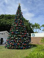 IMG_8113.jpeg IMG_8113.jpeg
