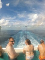 IMG_3790.jpeg IMG_3790.jpeg