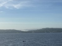 IMG_1778.jpeg IMG_1778.jpeg