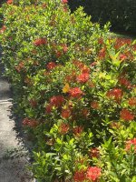 IMG_8366.jpeg IMG_8366.jpeg