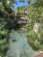 IMG_8360.jpeg IMG_8360.jpeg