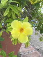 IMG_8356.jpeg IMG_8356.jpeg