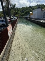 IMG_1823.jpeg IMG_1823.jpeg