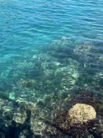 IMG_1828.jpeg IMG_1828.jpeg