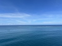 IMG_1837.jpeg IMG_1837.jpeg