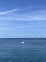 IMG_8438.jpeg IMG_8438.jpeg