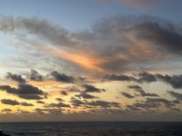 IMG_1862.jpeg