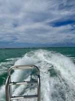 IMG_1889.jpeg