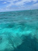 IMG_1894.jpeg