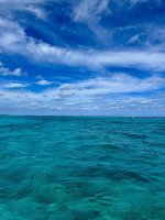IMG_1893.jpeg