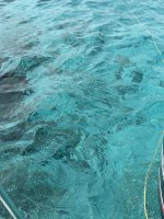 IMG_1904.jpeg