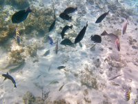 IMG_4824.jpeg