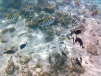 IMG_4681.jpeg