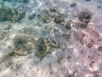 IMG_4566.jpeg