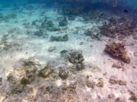 IMG_4709.jpeg