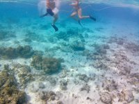 IMG_4770.jpeg