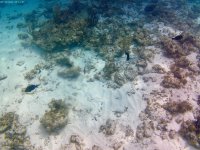 IMG_4635.jpeg