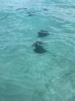 IMG_1909.jpeg