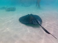 IMG_4700.jpeg