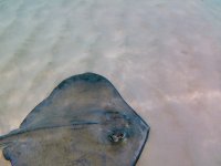 IMG_4598.jpeg