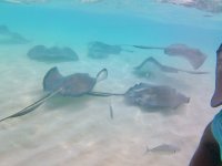 IMG_4654.jpeg
