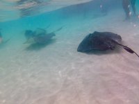 IMG_4746.jpeg