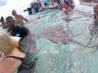 IMG_4732.jpeg
