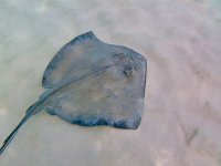 IMG_4667.jpeg