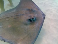 IMG_4799.jpeg