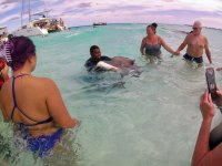 IMG_4622.jpeg