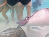 IMG_4723.jpeg
