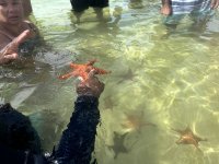 IMG_1938.jpeg