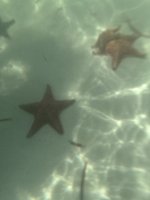 IMG_1940.jpeg