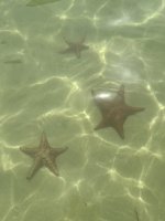 IMG_1945.jpeg