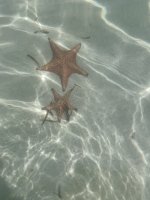 IMG_1948.jpeg