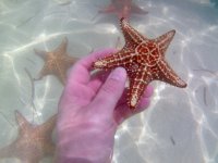 IMG_4828.jpeg