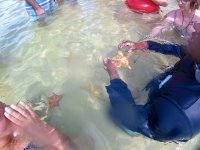 IMG_4790.jpeg