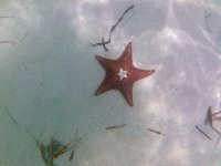 IMG_4755.jpeg
