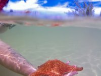 IMG_4761.jpeg