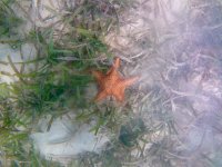 IMG_4640.jpeg