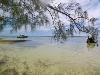 IMG_4607.jpeg