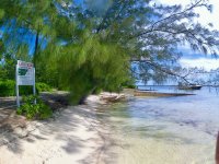 IMG_4819.jpeg