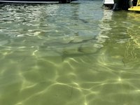 IMG_1950.jpeg