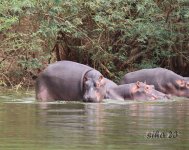 IMG_3291.jpg