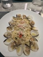 IMG_2110.jpeg