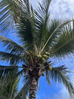 IMG_8937.jpeg