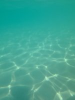 IMG_2155.jpeg