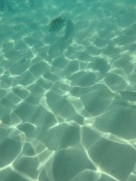 IMG_2166.jpeg