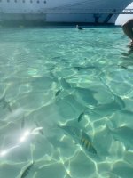 IMG_2178.jpeg